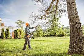 Best Firewood Processing and Delivery  in Athens, GA