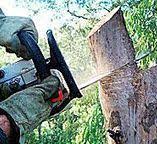 Best Utility Line Clearance  in Athens, GA