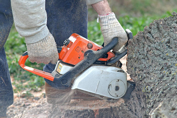 Best Soil Testing and Treatment  in Athens, GA
