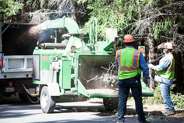Best Commercial Tree Services  in Athens, GA